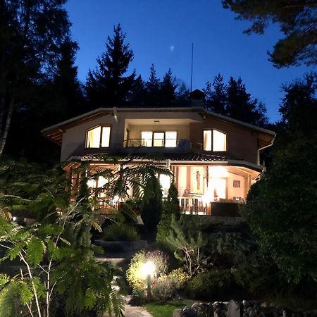 Luxury Villa Borina Zheleznitsa 外观 照片
