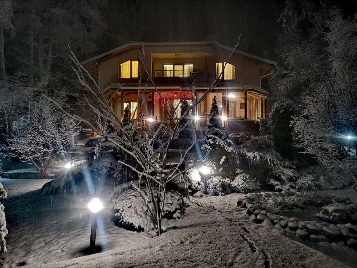 Luxury Villa Borina Zheleznitsa 外观 照片
